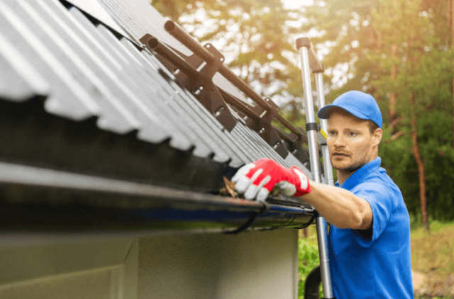 elk grove gutter service